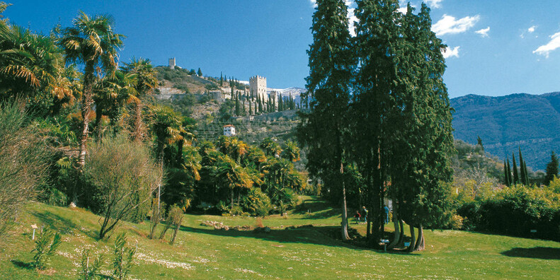 Parco Arciducale Arboreto  #3