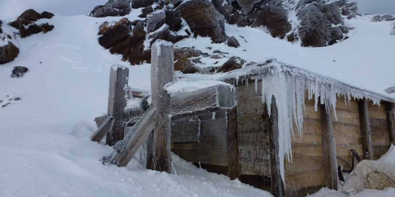 Punta Linke (3629 m ü.d.M.)  Ortler / Ortles-Cevedale – Pejo  #3