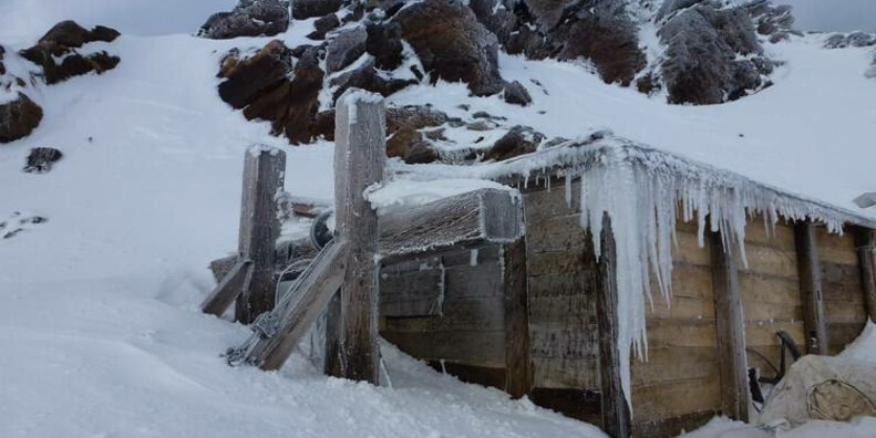 Punta Linke (3629 m a.s.l.)  Ortles-Cevedale – Pejo #4