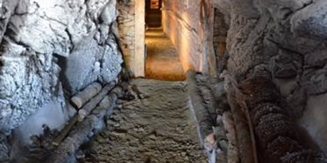 Punta Linke (3629 m ü.d.M.)  Ortler / Ortles-Cevedale – Pejo  #5