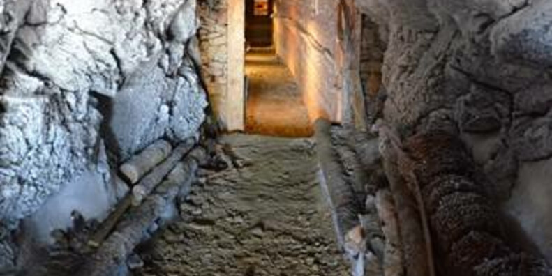 Punta Linke (3629 m a.s.l.)  Ortles-Cevedale – Pejo #6