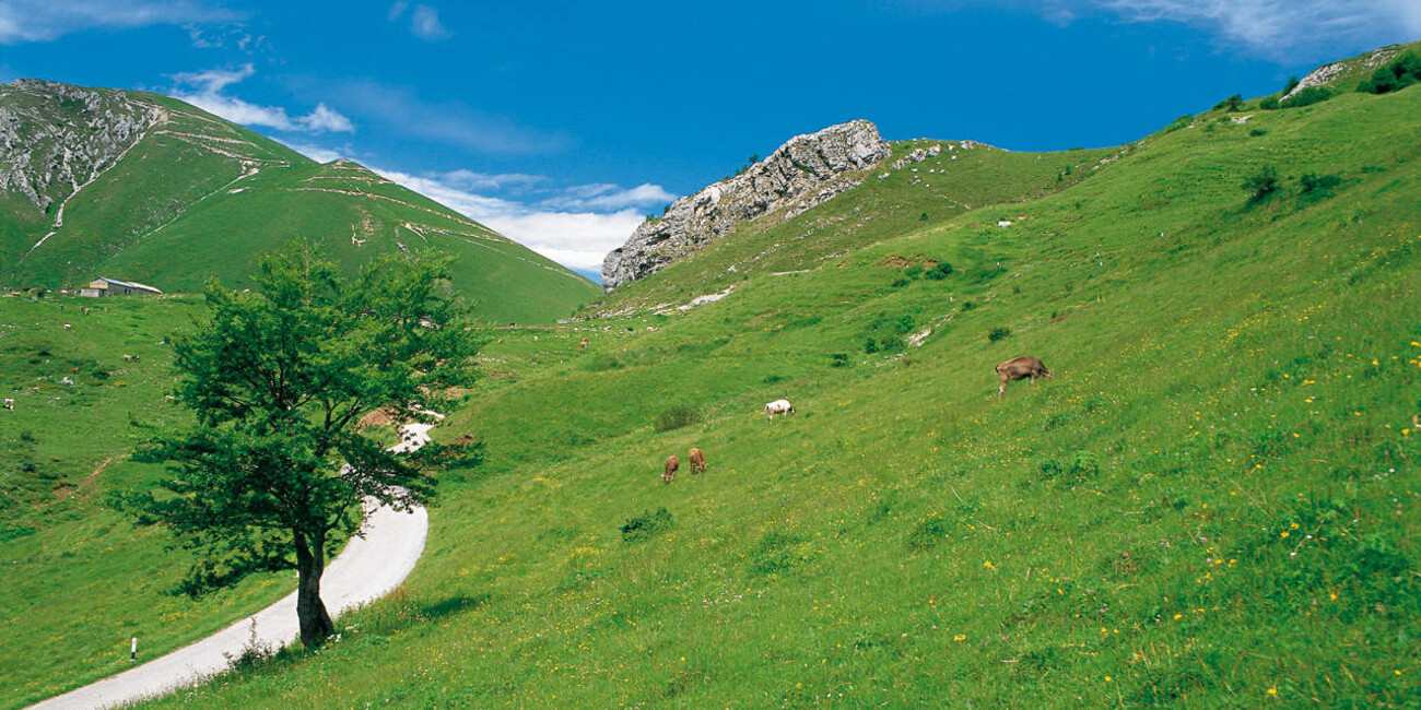 Riserva Bès Corna Piana #2