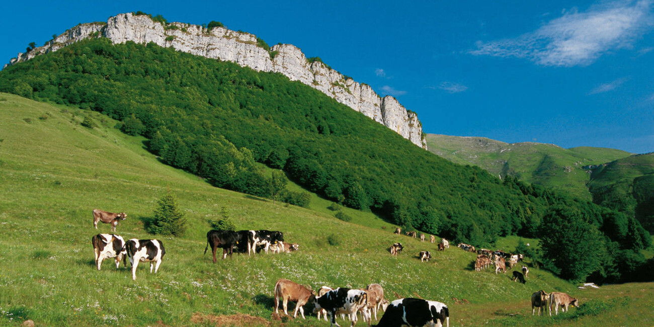 Riserva Bès Corna Piana #3