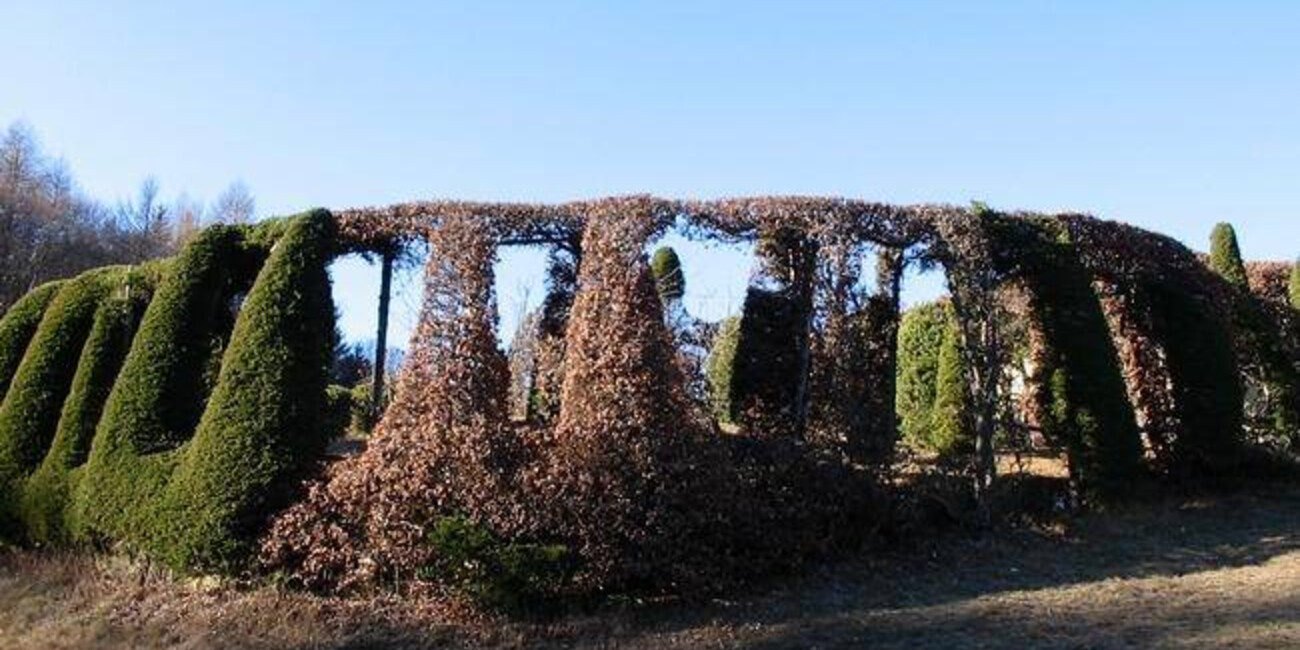  Roccolo del Sauch  #2