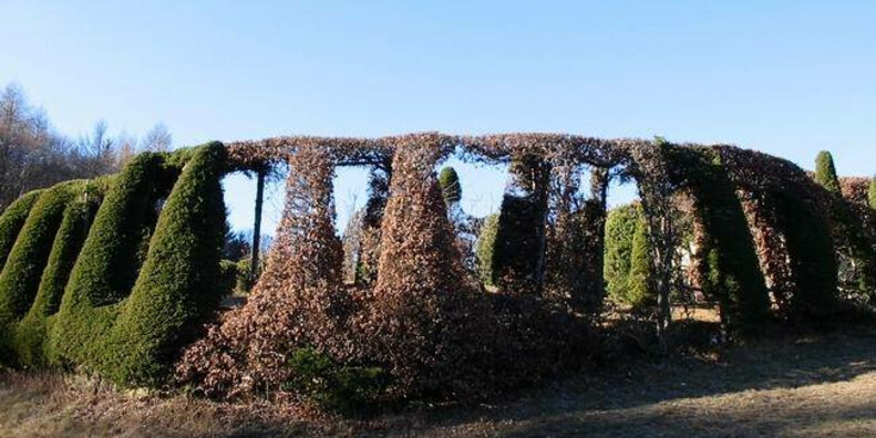  Roccolo del Sauch  #2