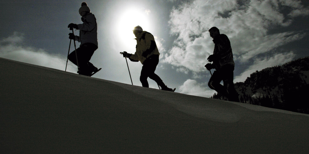 Snowshoeing with the guide, Val di Non