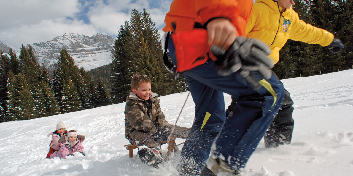 Катание на санках и тобогганах в Доломитовые Альпы  #2