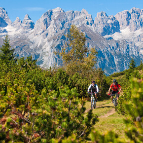 Dolomiti di Brenta Bike