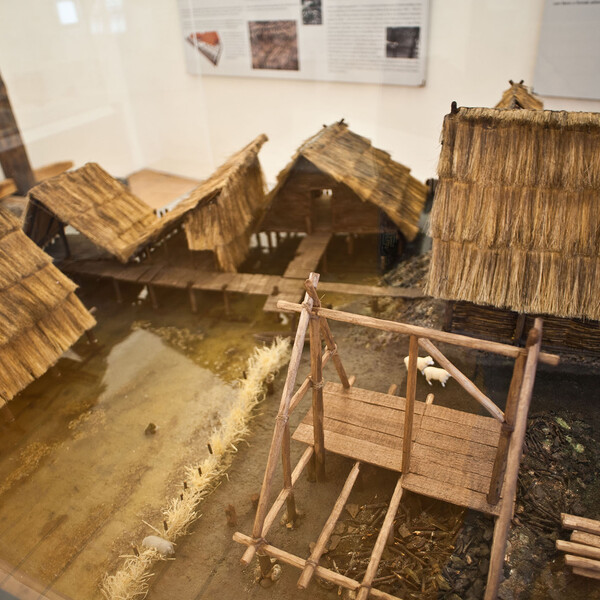 Fiavé Pile-dwelling Museum