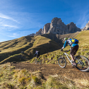 Erlebnisreiche Touren