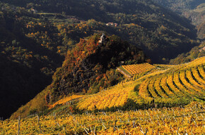 Val di Cembra - San Leonardo - Panorama - Vigneti - Foliage