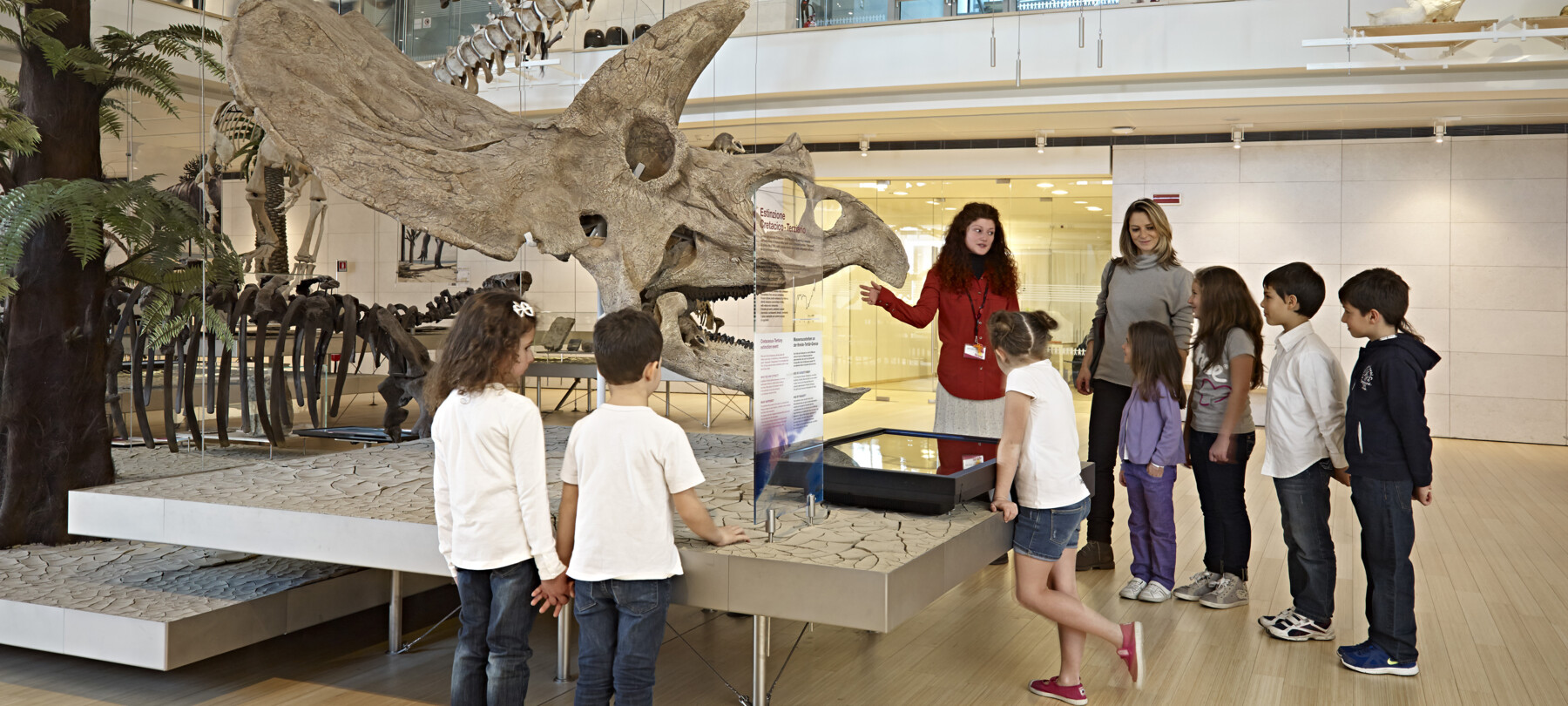 Trento - Muse - Museo delle Scienze di Trento