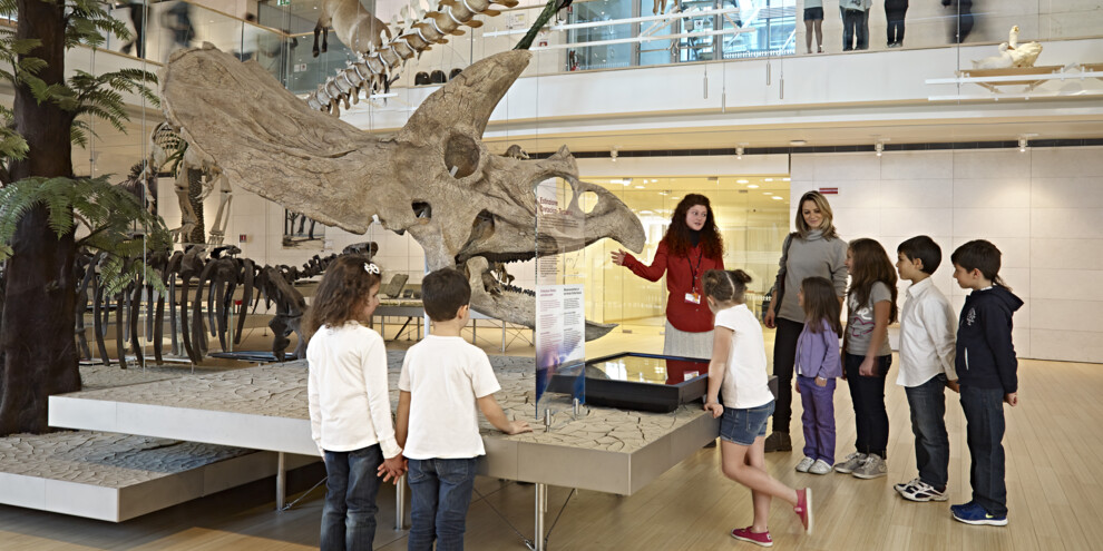 Trento - Muse - Museo delle Scienze di Trento