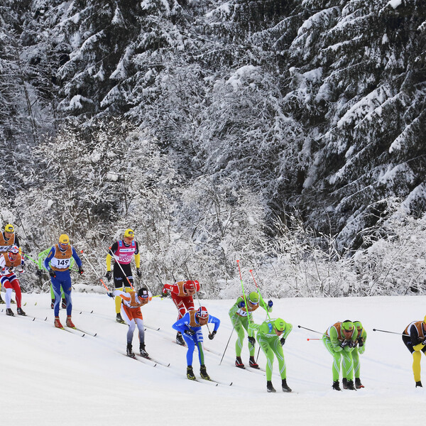 Центр Фонда Pozza Ciancoal