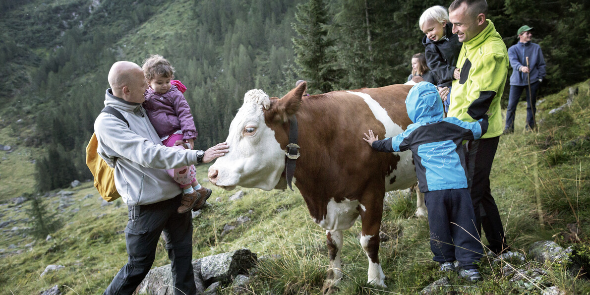 Swięta góra rodzina - lato w Trentino