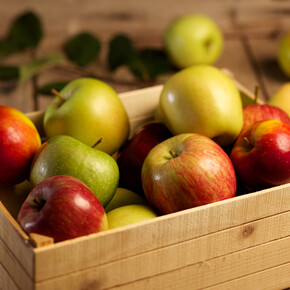 Trentino apples