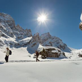 Paneveggio-Pale di San Martino Nature Park