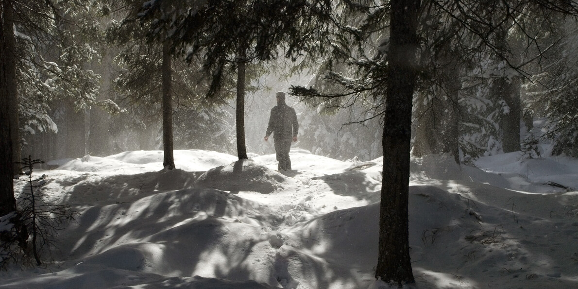 Krásné zimní lesní zvěř, příroda a sníh v Dolomitech  #4