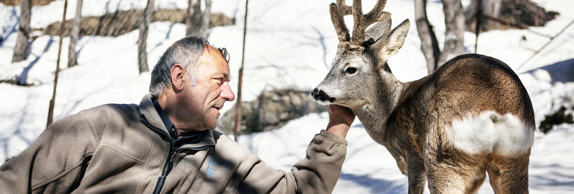Val di Sole, Pejo, Rabbi - Guardia parco con capriolo
