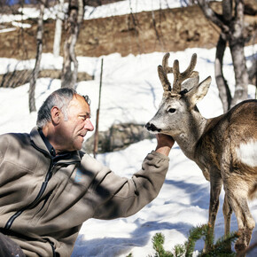 Val di Sole, Pejo, Rabbi - Guardia parco con capriolo
