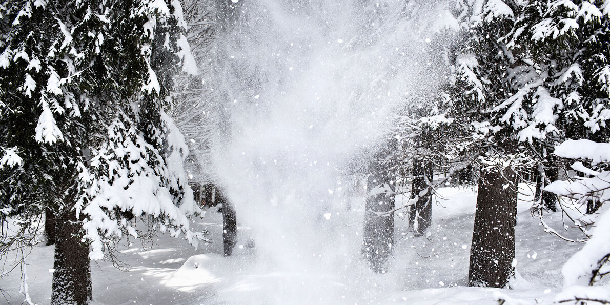 Krásné zimní lesní zvěř, příroda a sníh v Dolomitech  #2