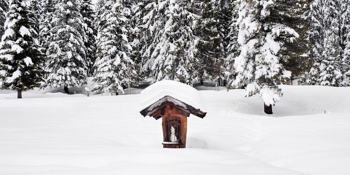 "Музыкальный лес в Трентино, Италия"  #3