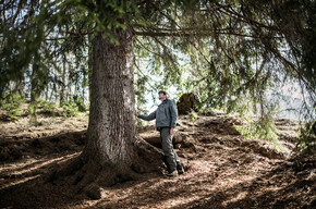 Paneveggio-Pale di San Martino Nature Park