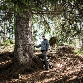 Paneveggio-Pale di San Martino Nature Park