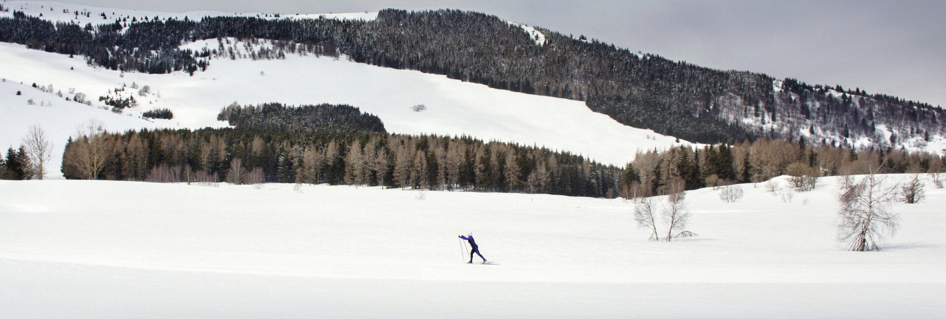 Centro Fondo Monte Bondone