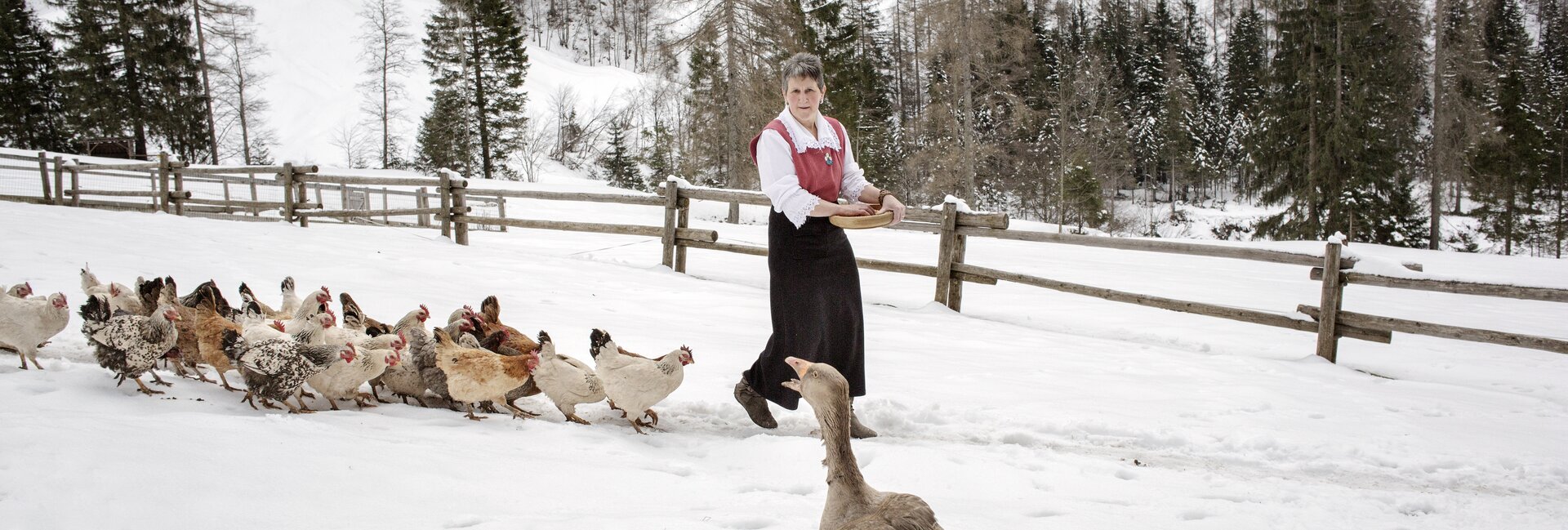 San Martino di Castrozza - Val Canali - Malga Canali