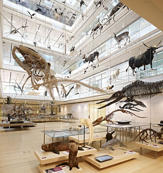 Trentino Guest Card - Culture and Museums #2