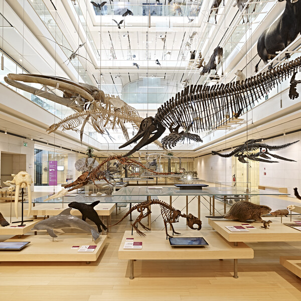 Trentino - Trento - Muse - Science Museum