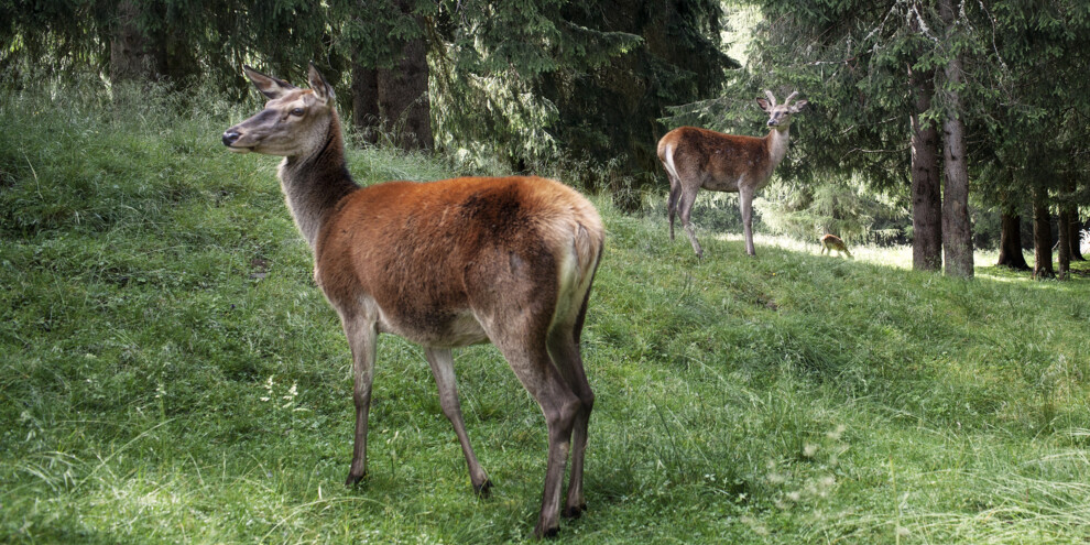 Parks und Schutzgebiete