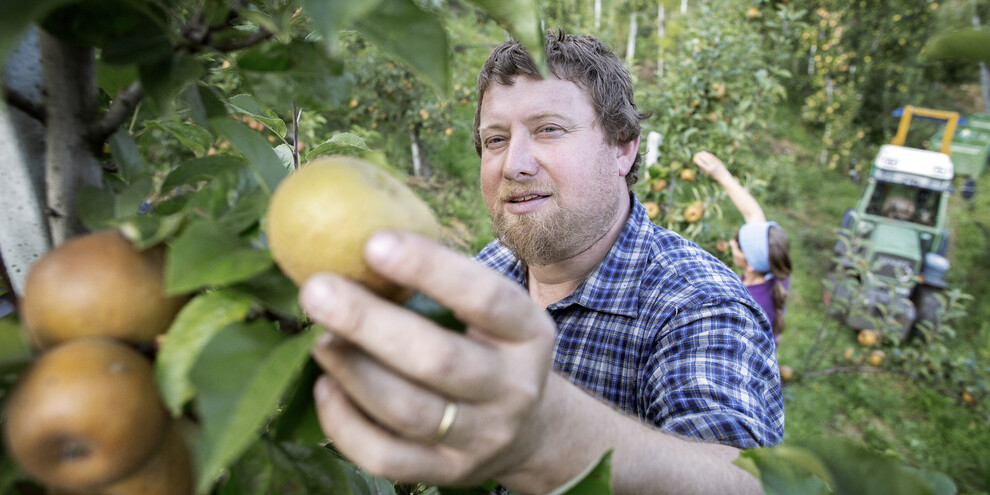 Среди яблоневых садов Валь-ди-Нон