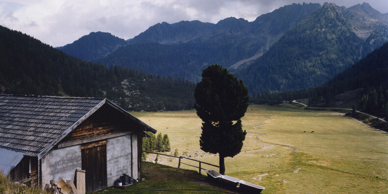 © Massimo Falqui Massidda