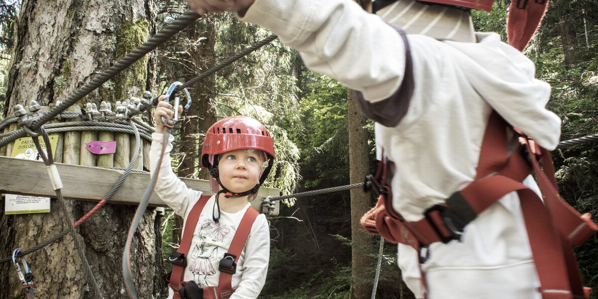 По лесу можно не только гулять