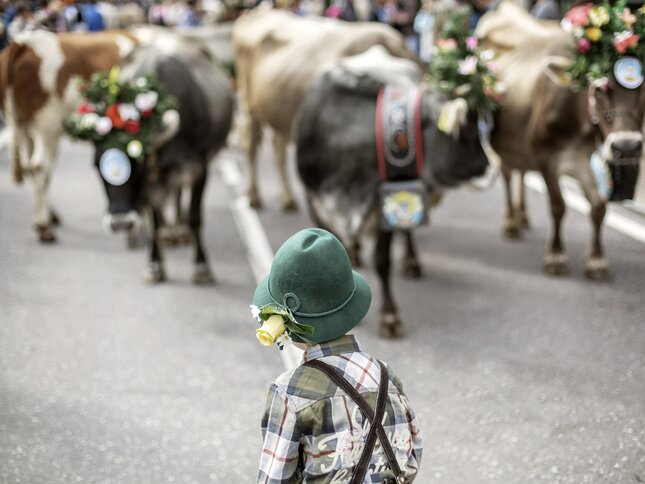 In the mountains, children enjoy themselves and keep in touch with nature - Dolomites - Italian alps