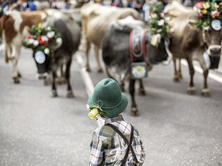In the mountains, children enjoy themselves and keep in touch with nature - Dolomites - Italian alps