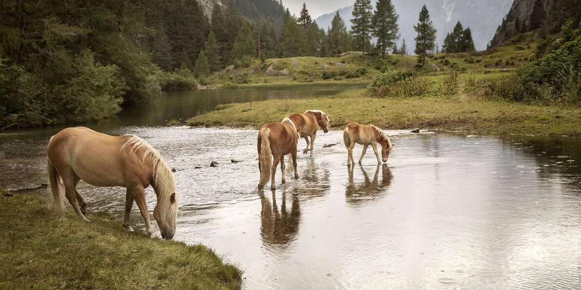 Ausgesuchte Hiking-Erlebnisse im Trentino