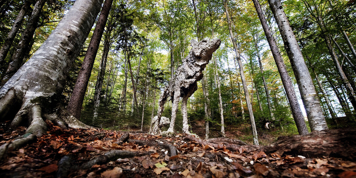 Kunst, Kultur und Events im Trentino