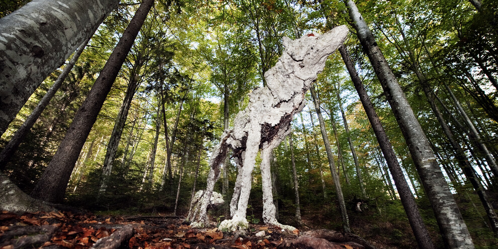Valsugana : Land-Art Arte Sella
