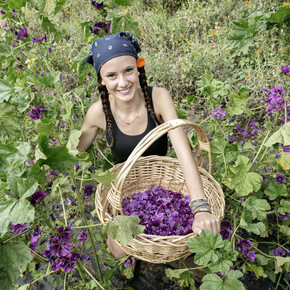Val di Cembra - Grumes - Azienda Agricola GioVe