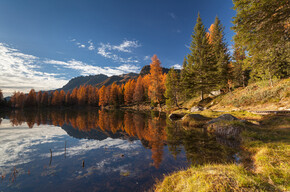 Wo das Laub im Trentino bewundern