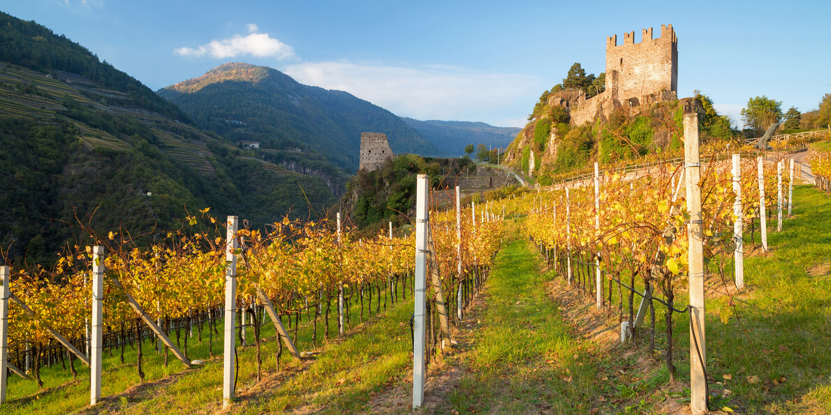 Cosa fare in Trentino in autunno