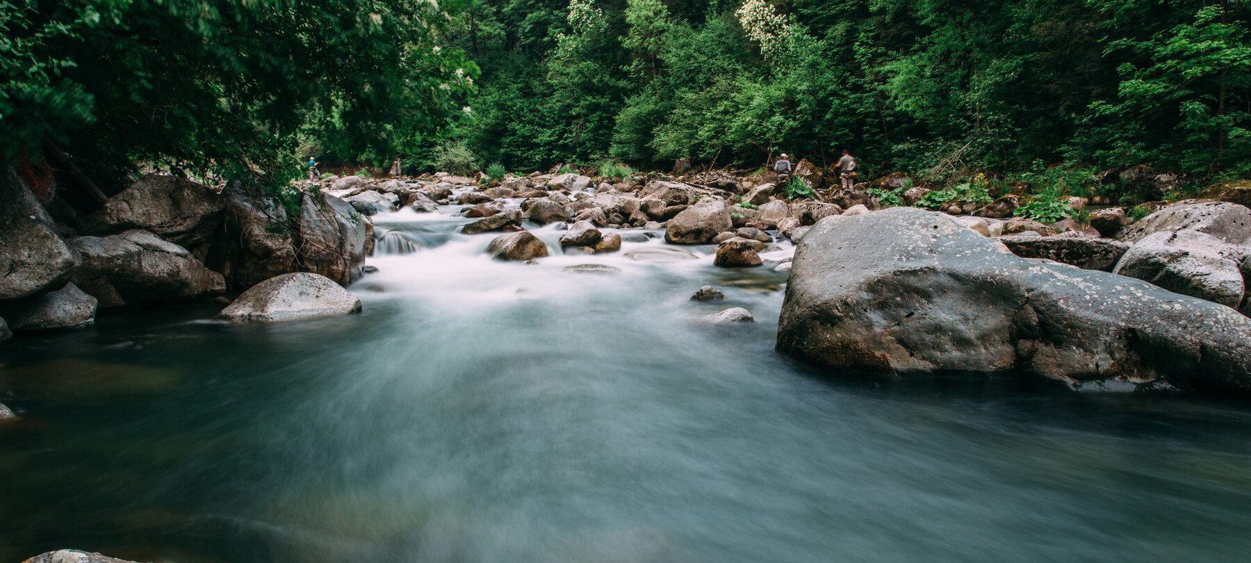 Grayling fishing guide in Trentino 