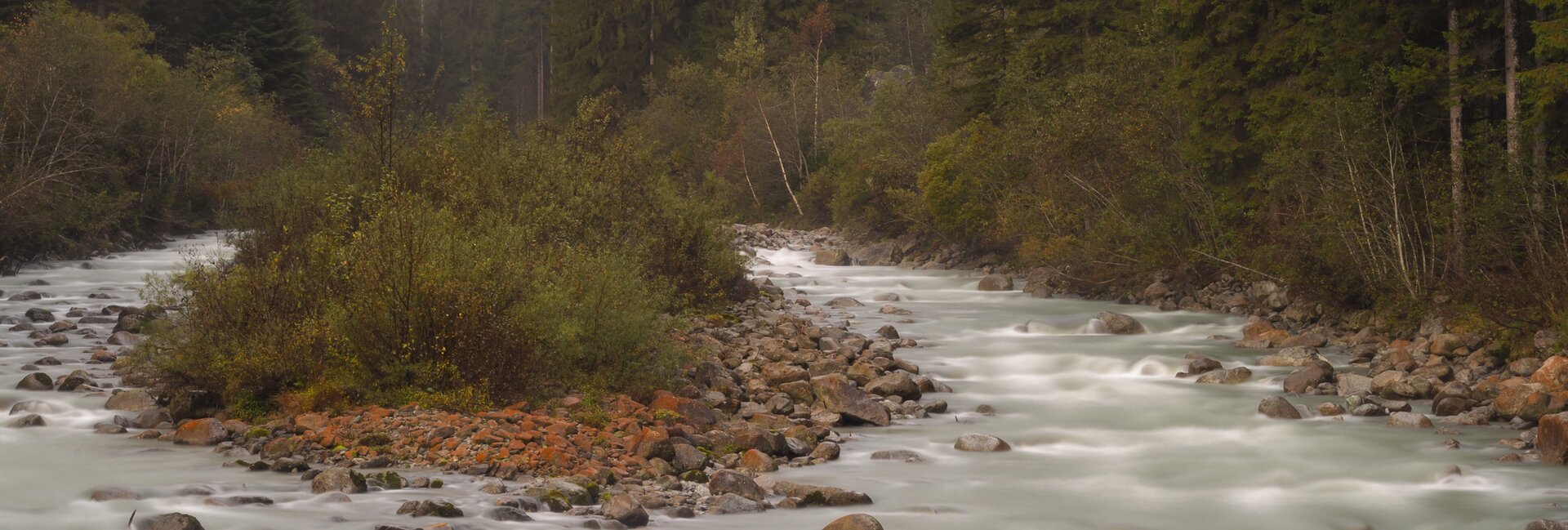 Torrente in Val di Genova
