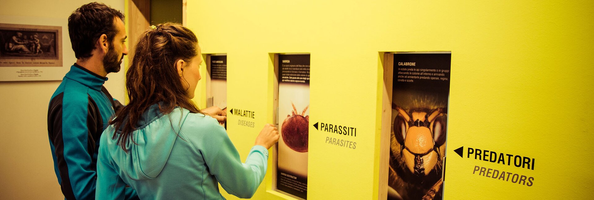 Bienenmuseum in der Mühle