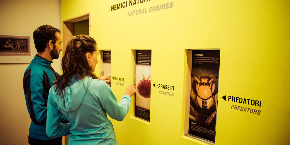  Museum Imkerlabors und Honig