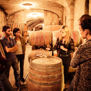 Valle dell'Adige - San Michele all'Adige - Cantina Endrizzi