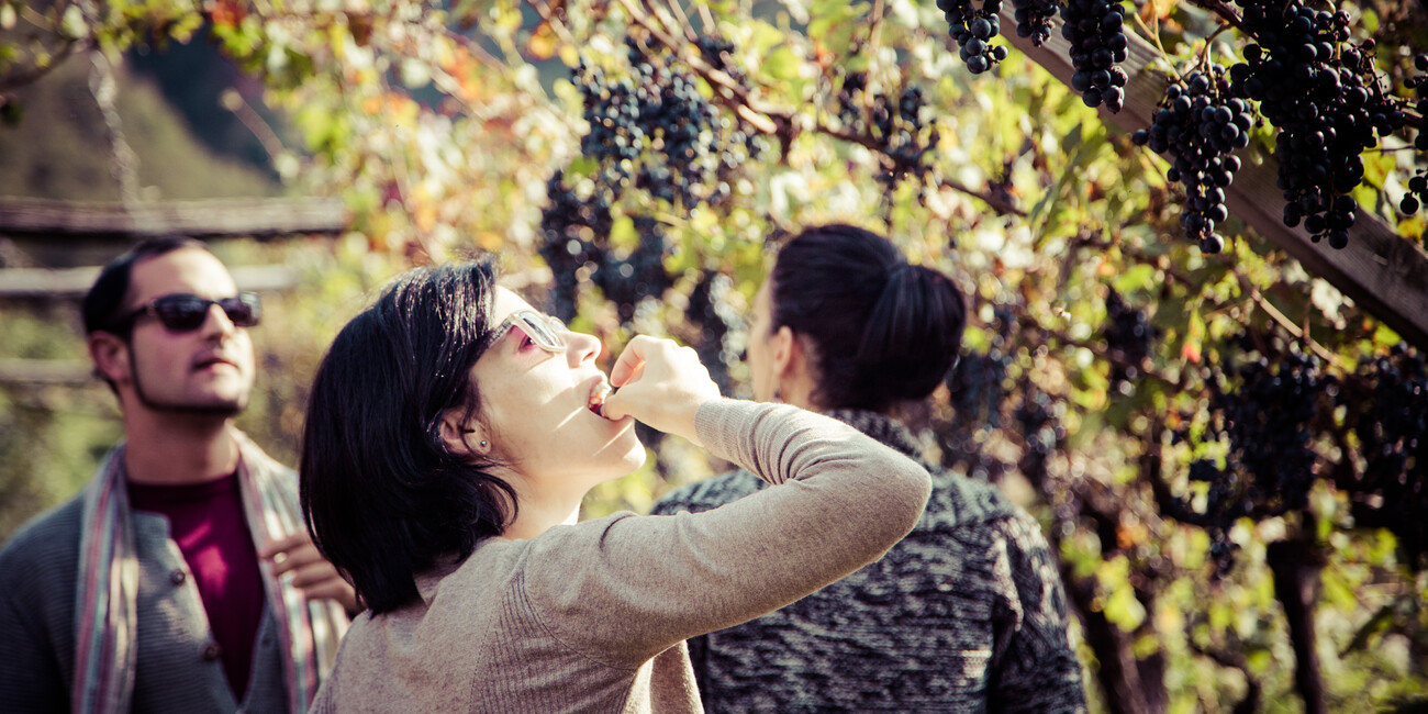 San Michele all'Adige #6